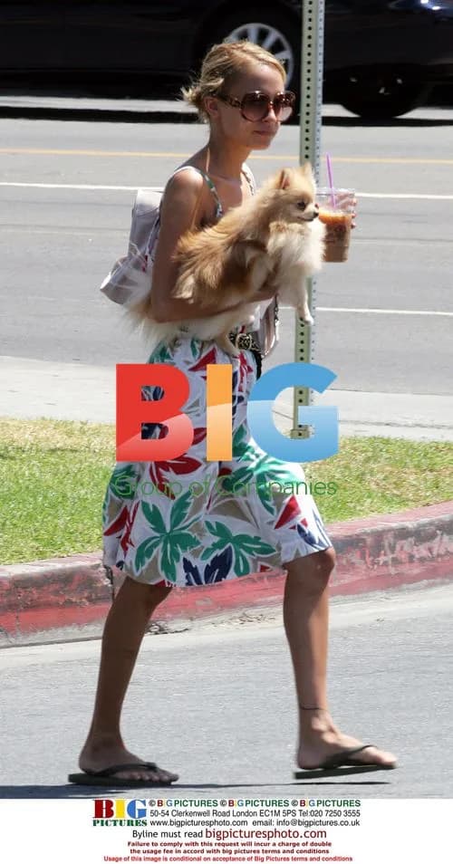 Nicole Richie out in Hollywood