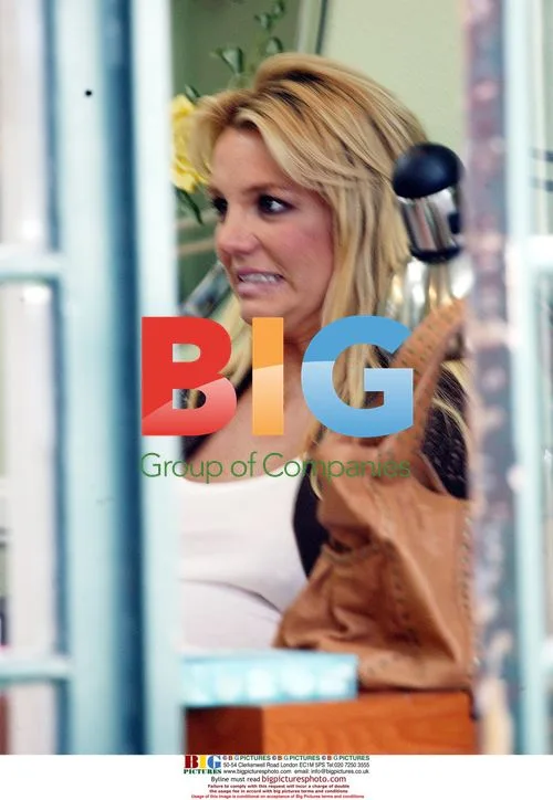 Pregnant Britney Spears out in Santa Monica