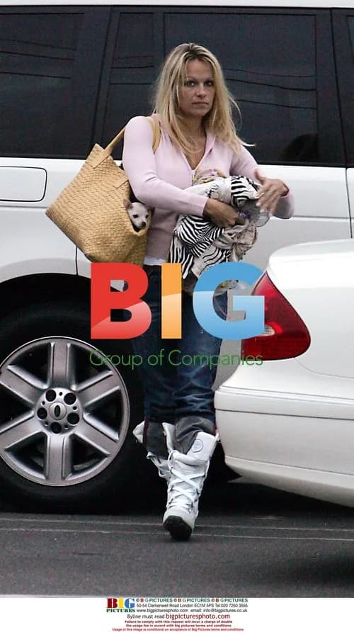 Pamela Anderson drops kids off for karate