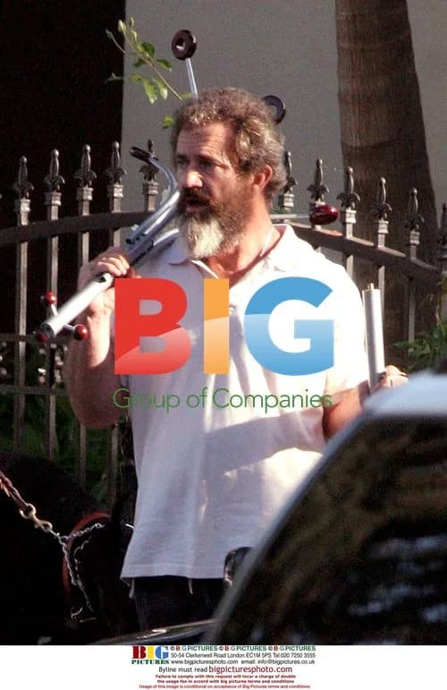 Mel Gibson Helps Daughter Move