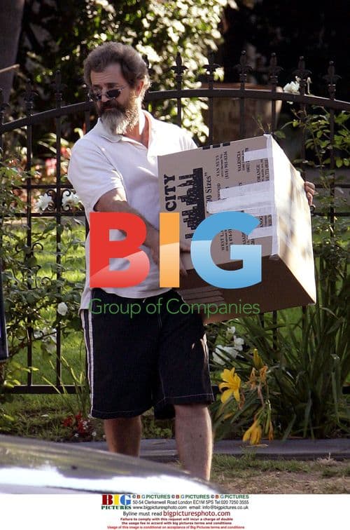 Mel Gibson Helps Daughter Move