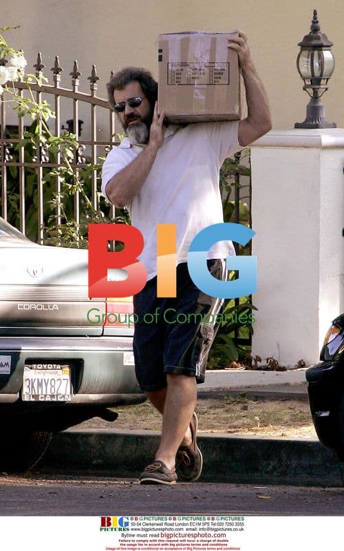 Mel Gibson helps daughter move