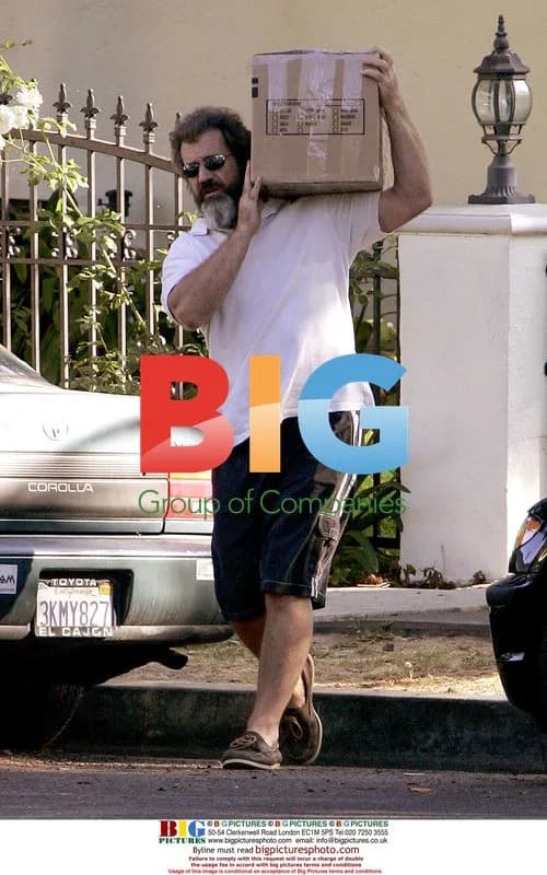 Mel Gibson helps daughter move