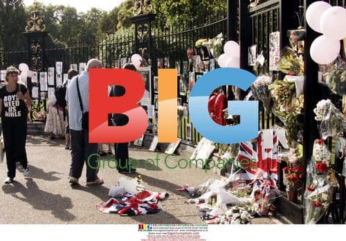 Fans Remember Princess Diana