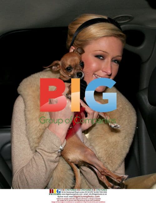 Paris Hilton Leaves Book Signing with Tinkerbell