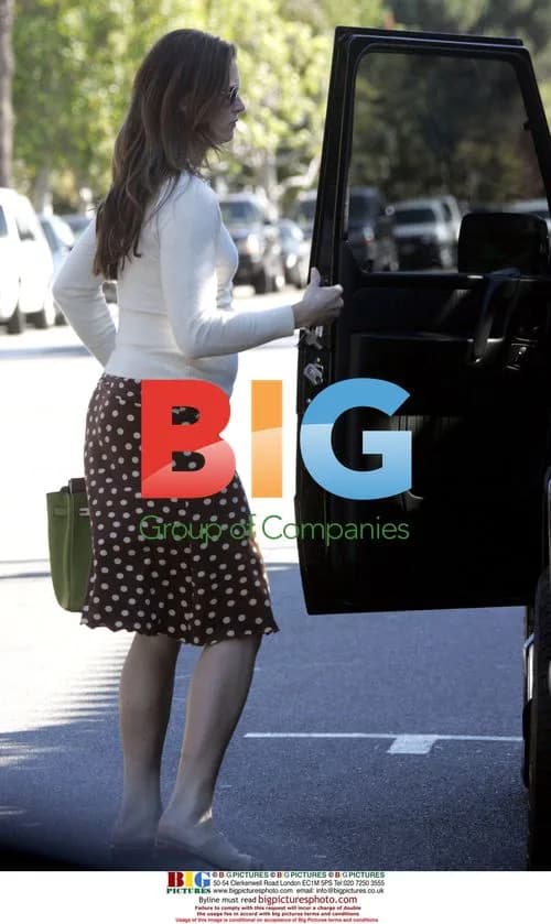 Pregnant Brooke Shields Out in LA