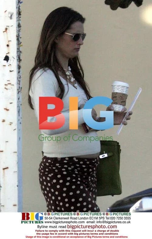Pregnant Brooke Shields Out in LA