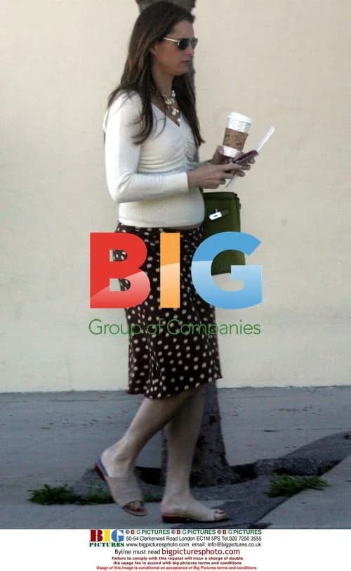 Pregnant Brooke Shields Out in LA