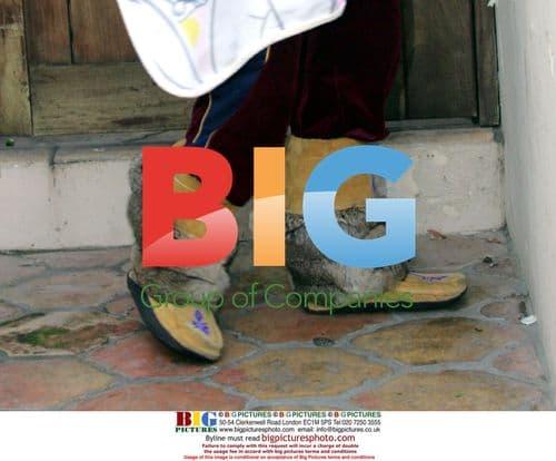 Paris Hilton Returns Home From Japan With Pets