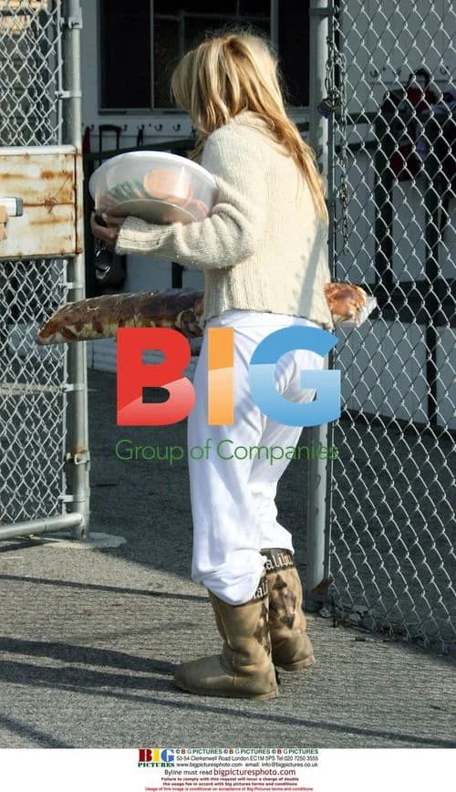 Pamela Anderson Drops Off Food for Party