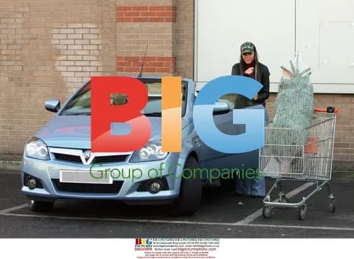 Andy Scott Lee and Michelle Heaton buy Christmas tree