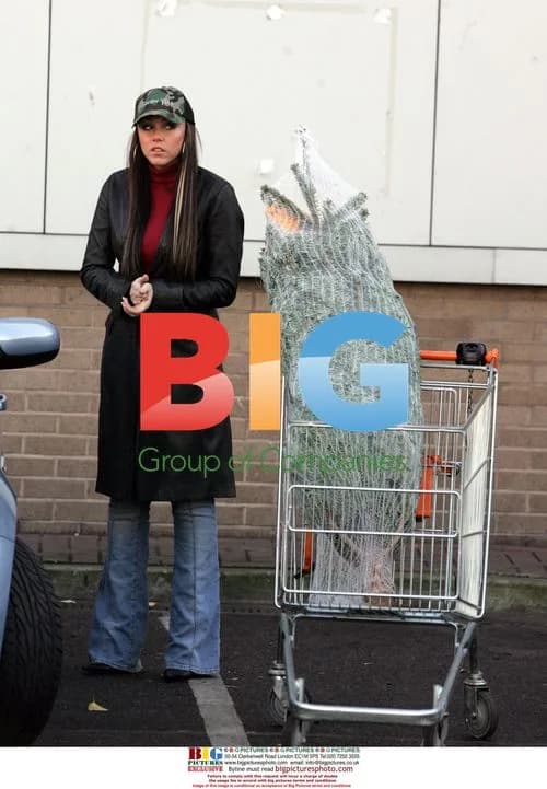 Andy Scott Lee and Michelle Heaton buy Christmas tree