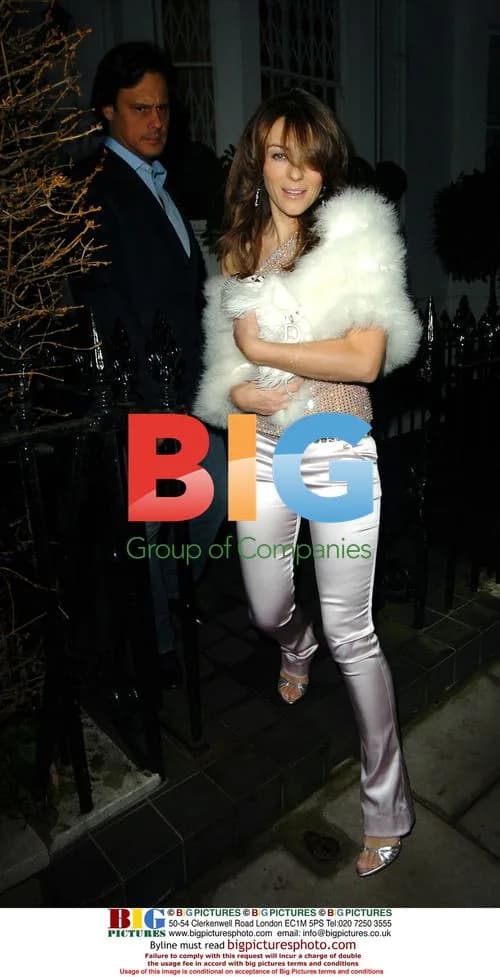 Liz Hurley and Arun Nayar at Elton John's Pre-Wedding Party