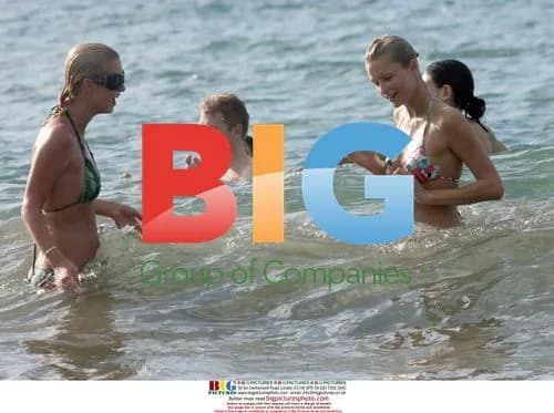 Paris Hilton Loses Sunglasses and Top in Hawaii