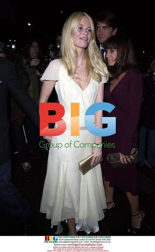 Claudia Schiffer at BAFTA Party