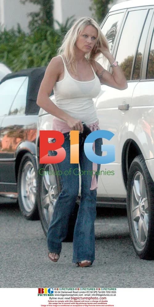Pamela Anderson Spotted out in Malibu