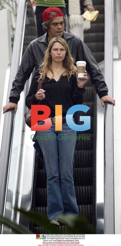 Benicio Del Toro and Sara Foster Spotted in Brentwood