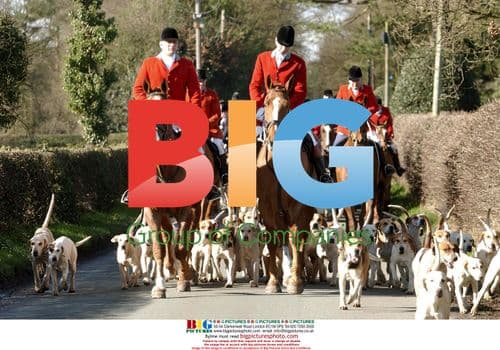 Cheshire Forest Hunt Members Protest Hunting Ban