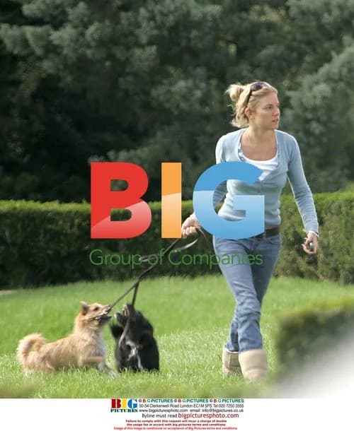 Sienna Miller Walking Dogs in Louisiana