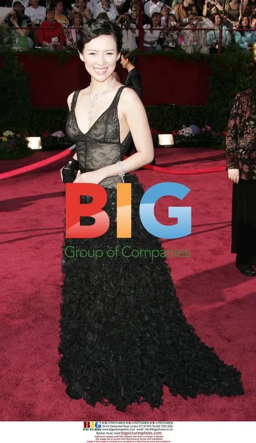 Ziyi Zhang at 77th Annual Academy Awards