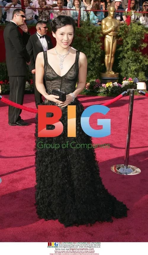 Ziyi Zhang at 77th Annual Academy Awards