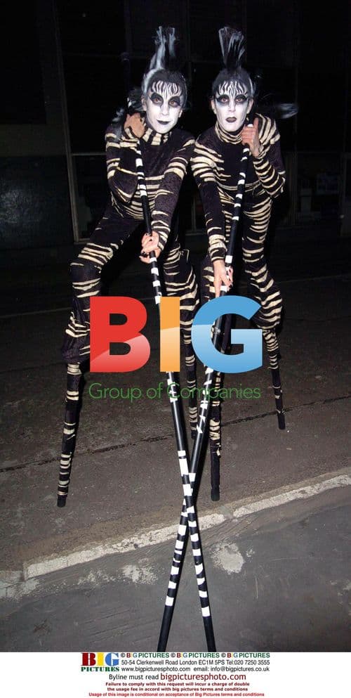 Circus Performers at Cirque du Soleil After Party