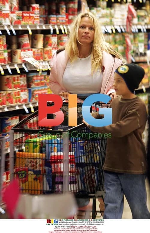 Pamela Anderson Grocery Shopping in Malibu
