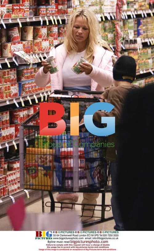 Pamela Anderson Grocery Shopping with Sons