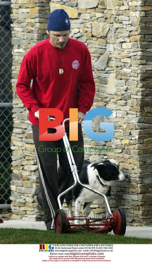 Viggo Mortensen Mows Lawn in Venice, CA