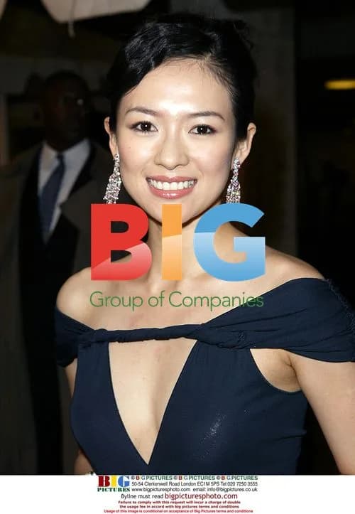 Actress ZHANG ZIYI at House of Flying Daggers premiere