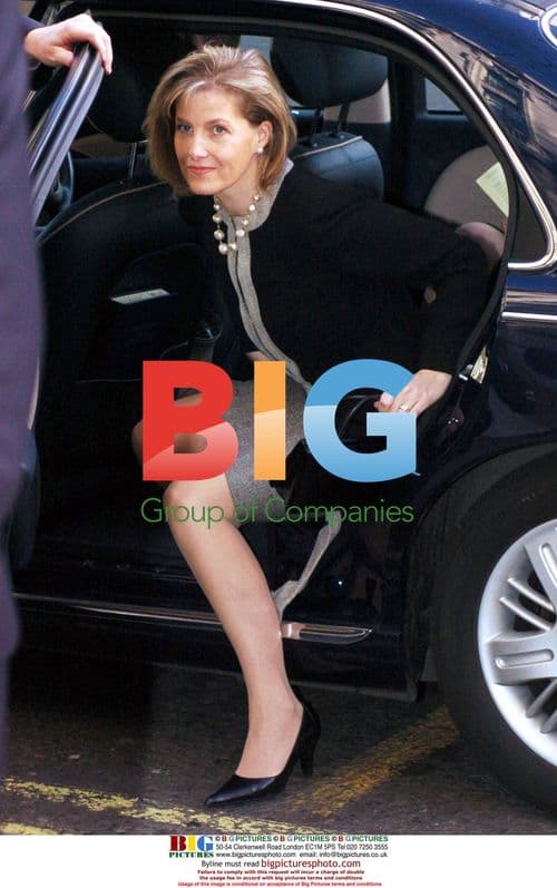 Countess of Wessex Arrives for Official Engagement