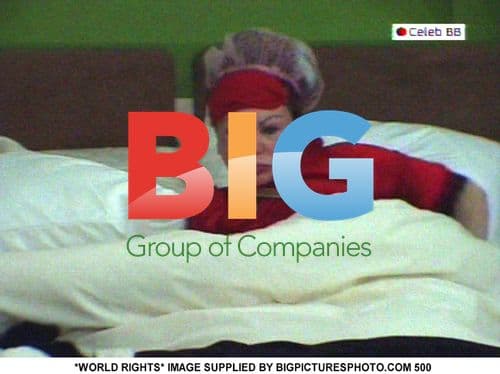 Celebrity Big Brother Housemates Laugh