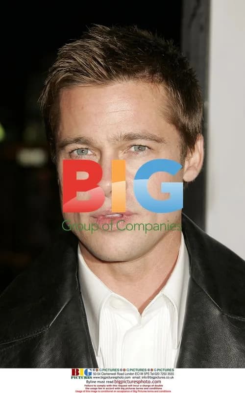Brad Pitt at 'Ocean's Twelve' Premiere