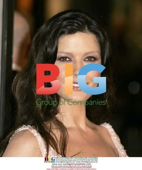 Catherine Zeta Jones at 'Ocean's Twelve' Premiere