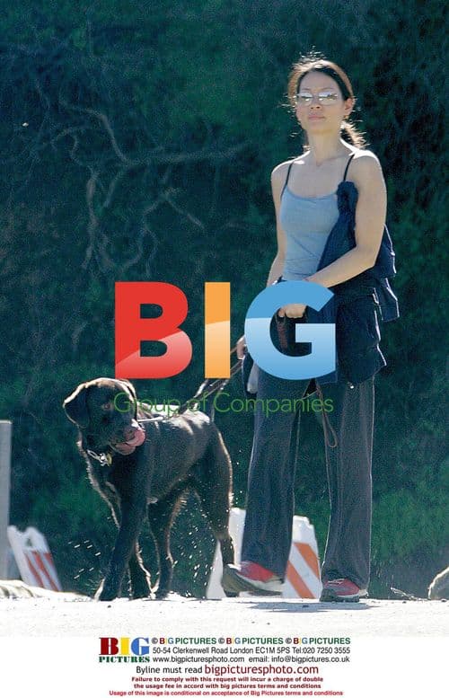 Lucy Lui walks dog in Hollywood