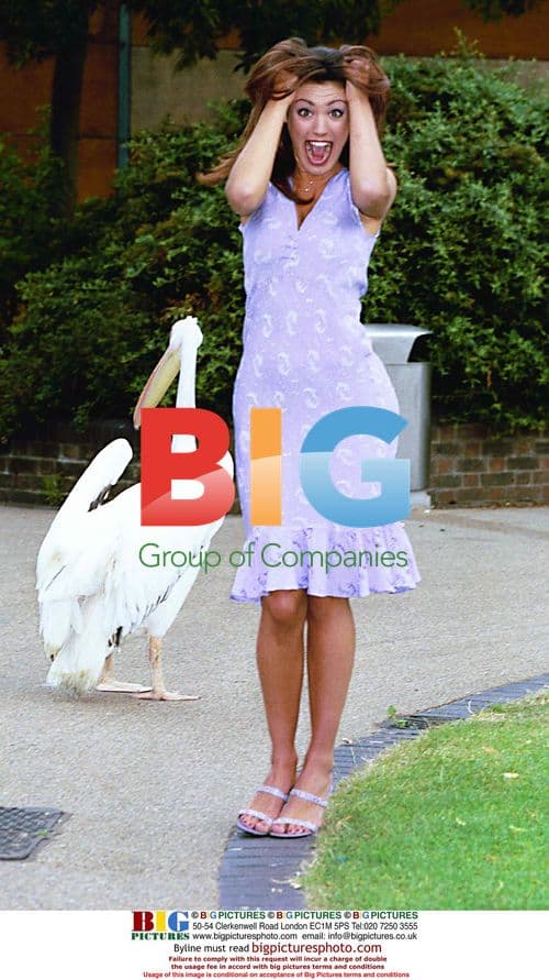 TV PRESENTER KELLY BROOK PHOTOCALL