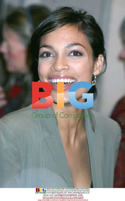 Rosario Dawson at 'Alexander' Screening