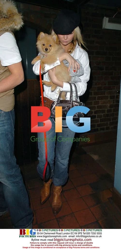 Jennifer Ellison with boyfriend and dog