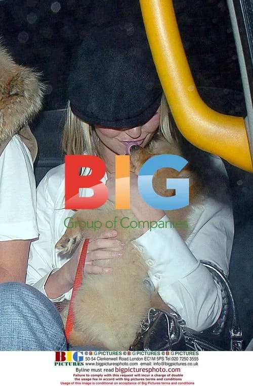 Jennifer Ellison and boyfriend leave London restaurant