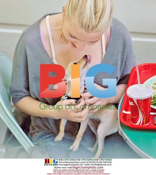 Scarlett Johansson takes Chihuahua to lunch in Hollywood