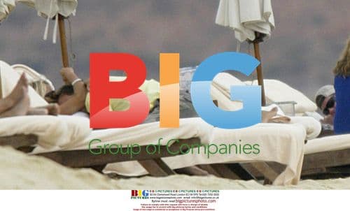 Pamela Anderson and Stephen Dorff's Romantic Getaway