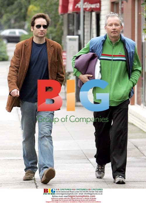 David Duchovney strolling in Santa Monica