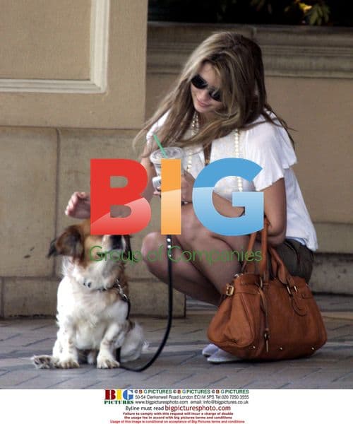 Mischa Barton out with dog and friends