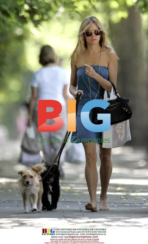Sienna Miller takes dogs for stroll