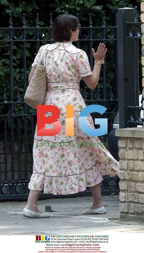 Sadie Frost Leaving Home to Pick Up Kids