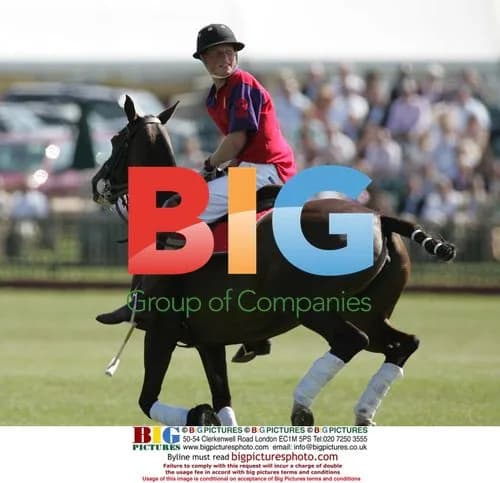 Prince Charles and Prince Harry playing polo