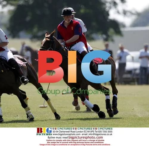 Prince Charles and Prince Harry Playing Polo