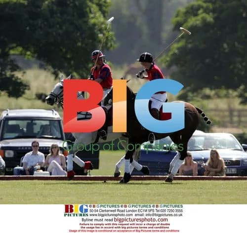 Prince Charles and Prince Harry play polo