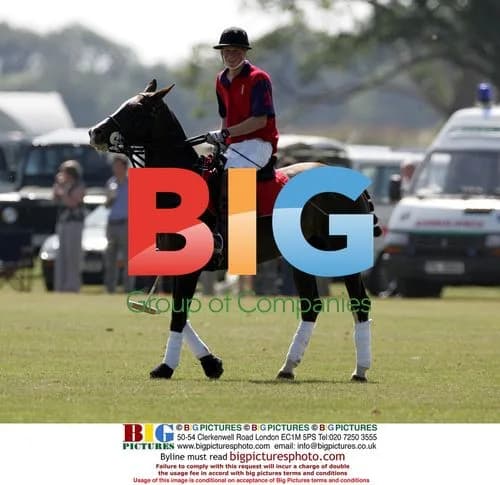 Prince Charles and Prince Harry playing polo