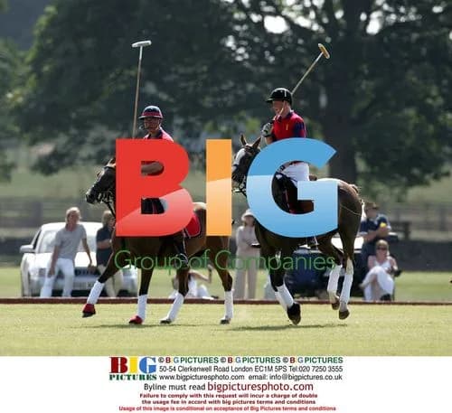 Prince Charles and Prince Harry play polo